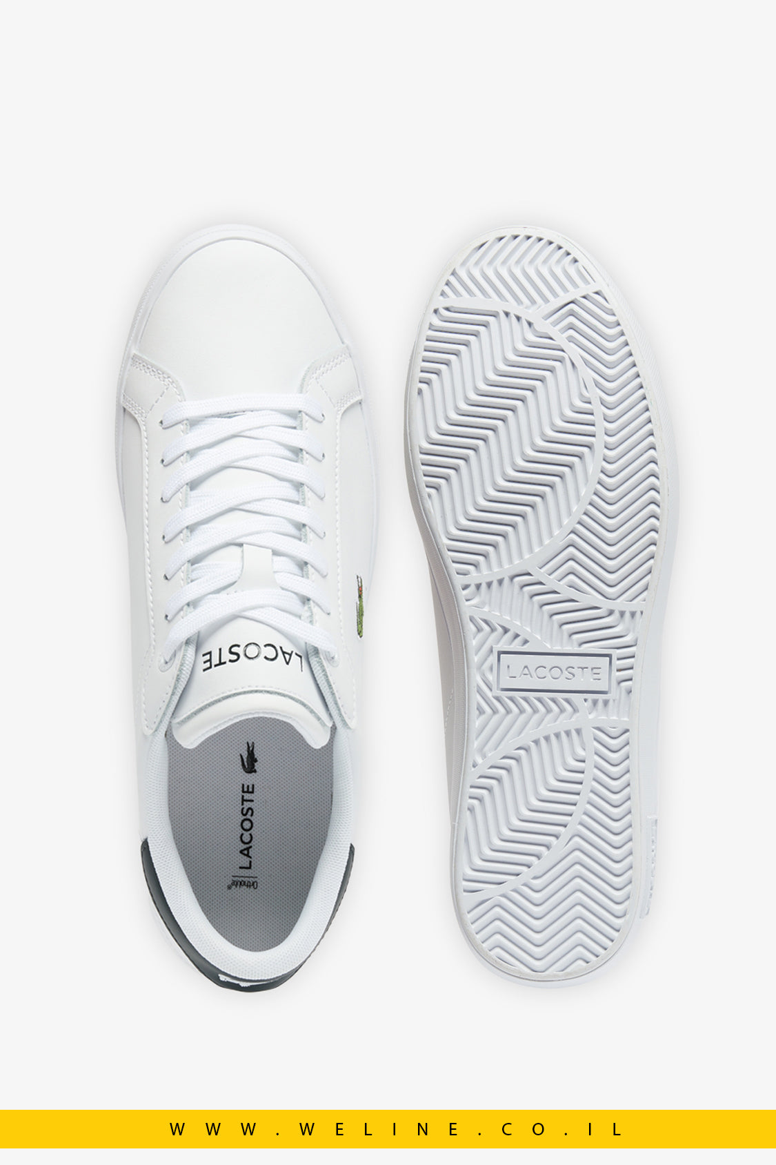 עלי סניקרס Lacoste POWERCOURT M לגברים