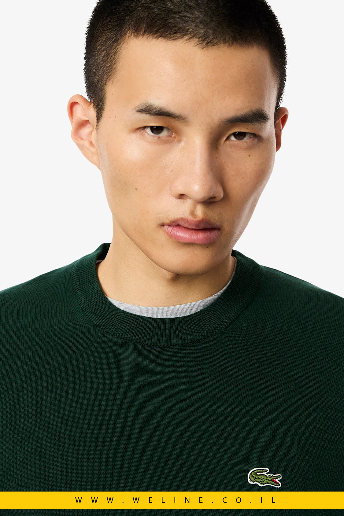 סוודר ירוק כותנה חלק עם צווארון עגול lacoste