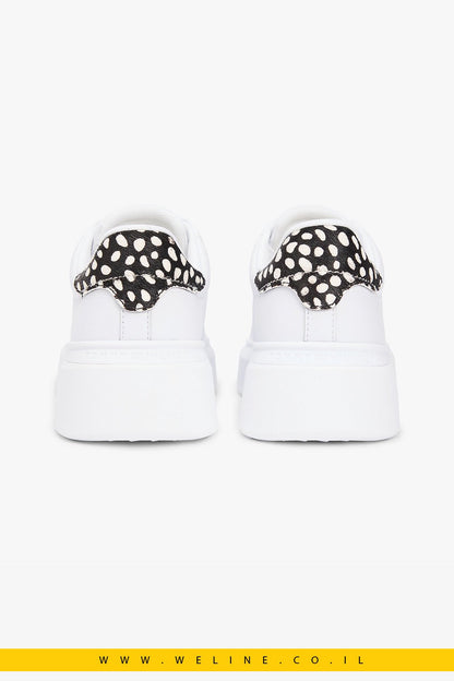 נעלי סניקרס פלטפורמה לנשים Tommy Hilfiger Snow Leopard Heel Leather – צבע לבן/הדפס מנומר - WELINE.CO.IL